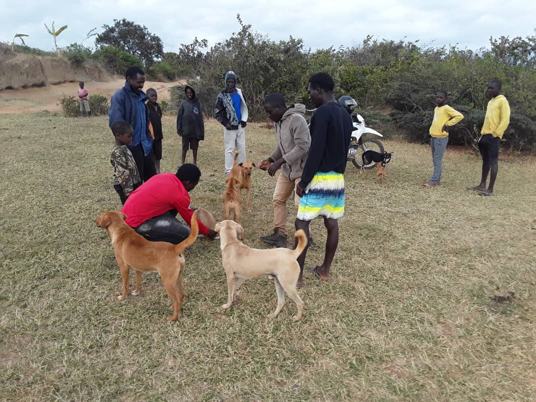 honden eigenaars malawi