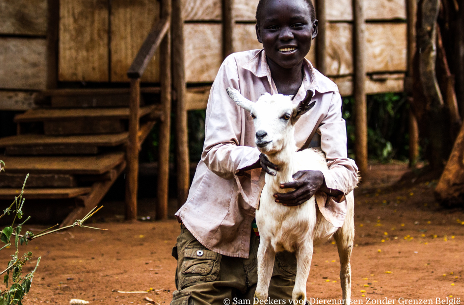 Kid with a goat