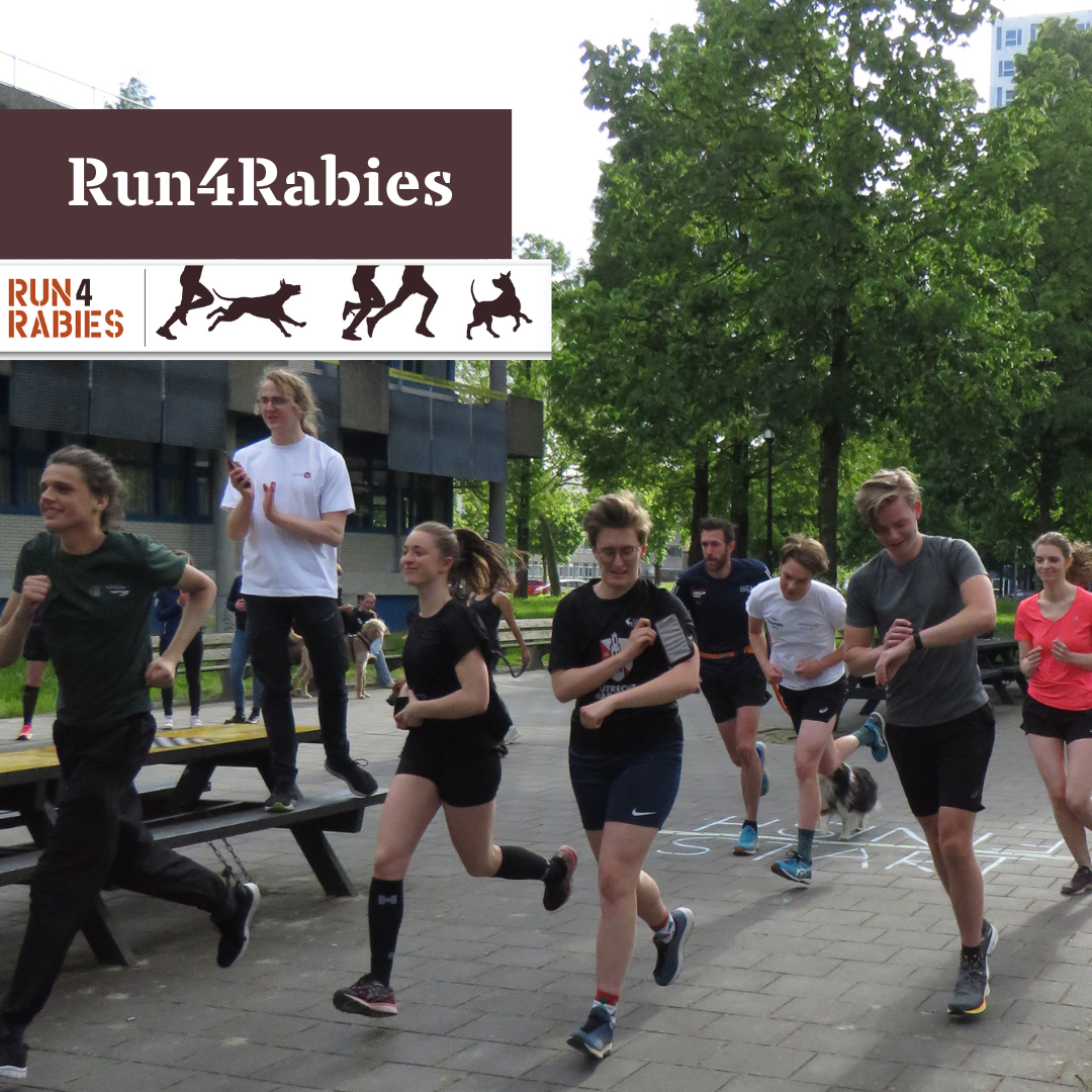 Run4rabies