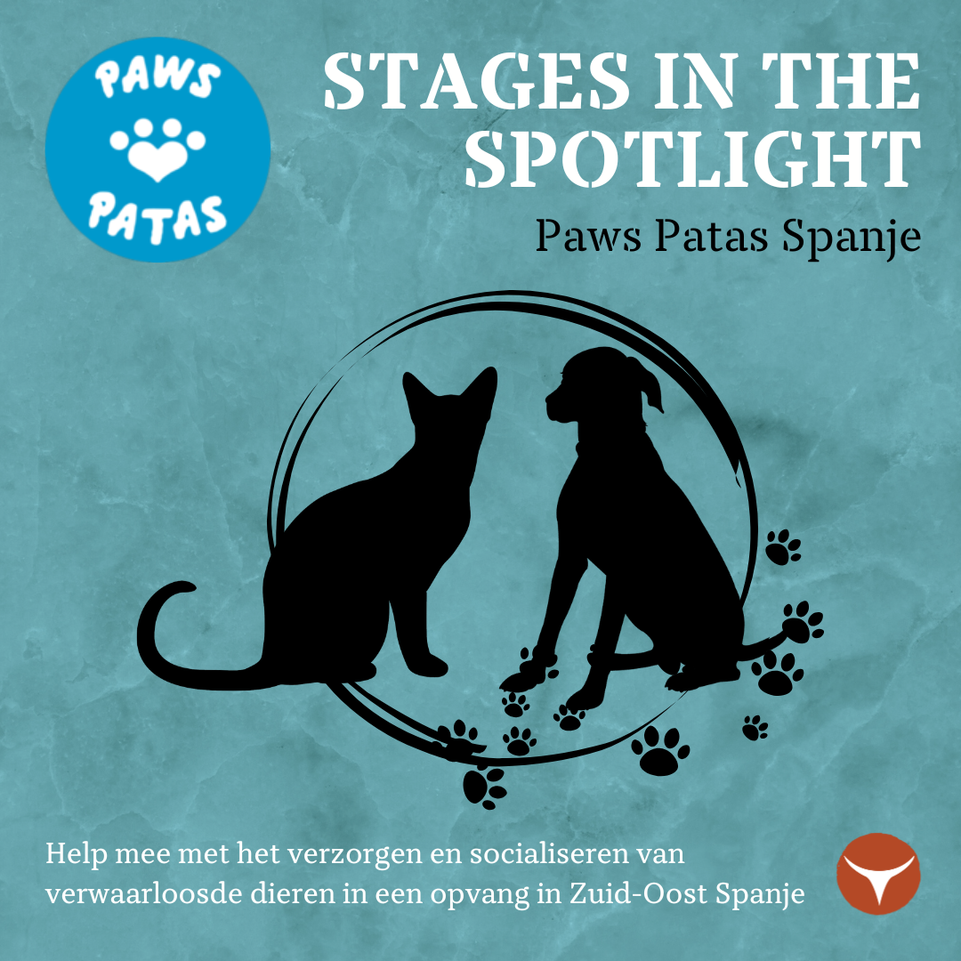 19. stage in the spotlight mei 25